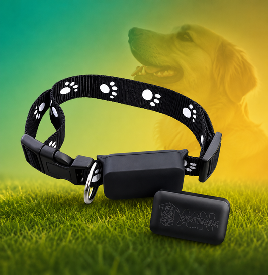 GPS PET VISTTRAK